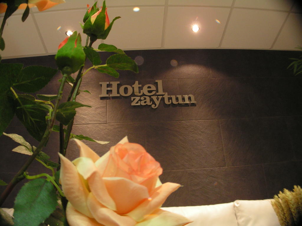 Hotel Zaytun Mequinenza Exterior foto